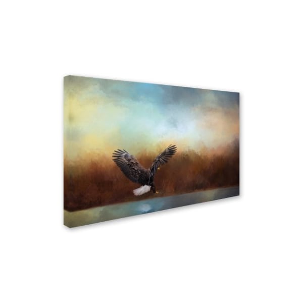 Jai Johnson 'Eagle Hunting In The Marsh' Canvas Art,16x24